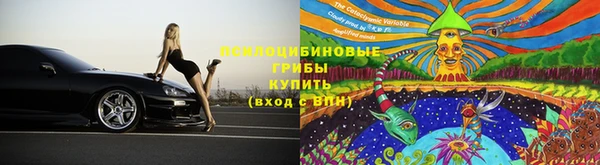 МДПВ Няндома
