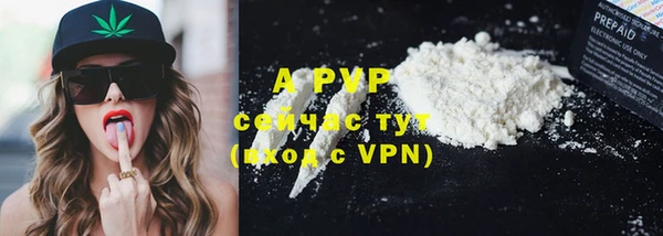 шишки Новодвинск