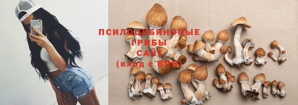 мяу мяу мука Новокубанск
