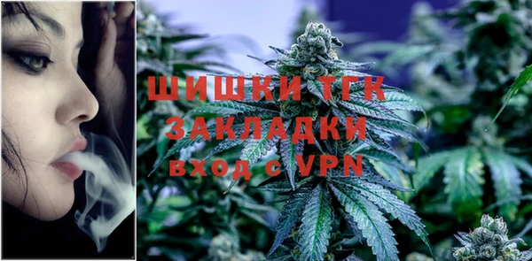 МДПВ Няндома