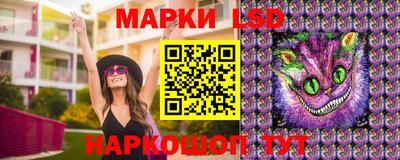 сатива Абинск