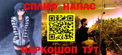 хмурый Абакан