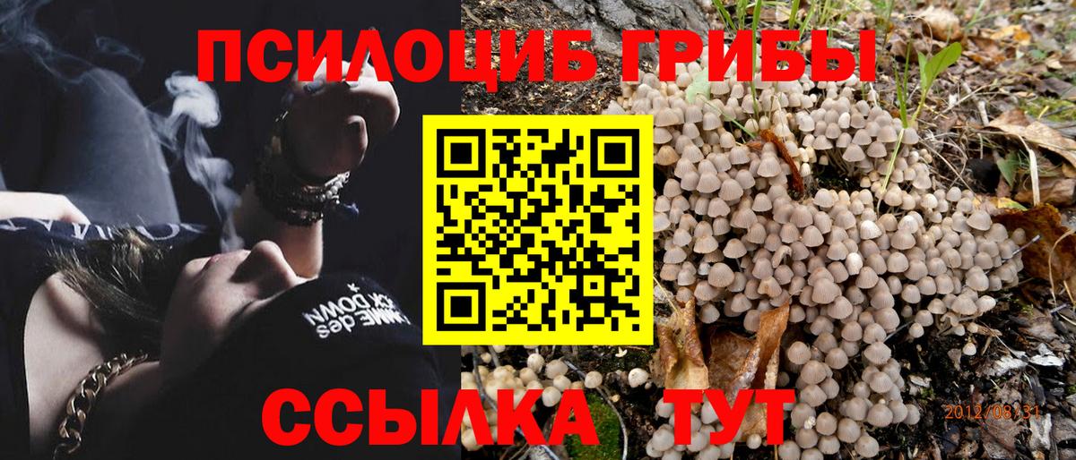 Псилоцибиновые грибы мицелий  Анапа  Галлюциногенные грибы Magic Shrooms 