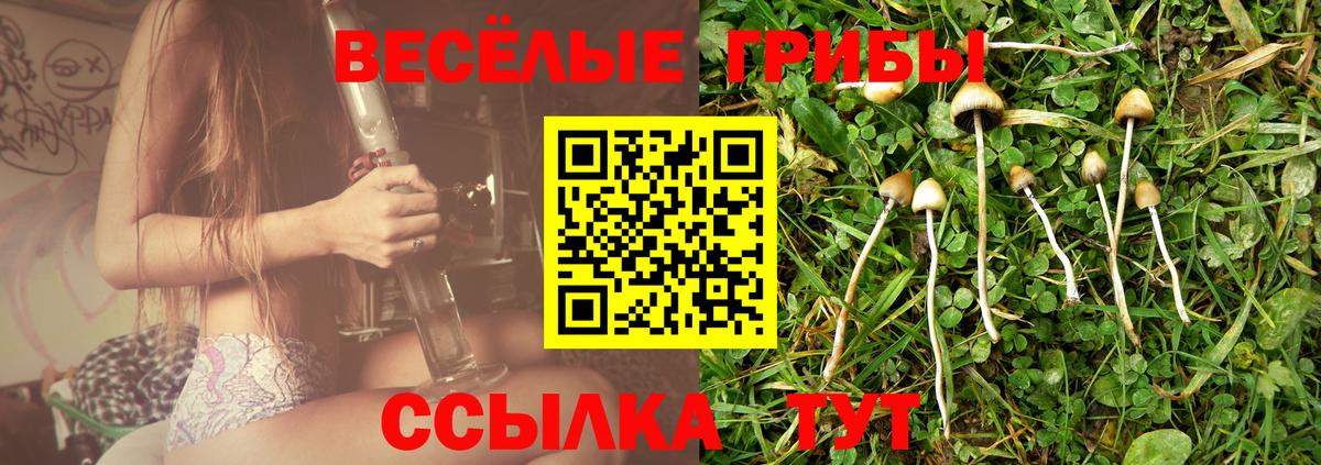 Псилоцибиновые грибы Psilocybine cubensis Анапа