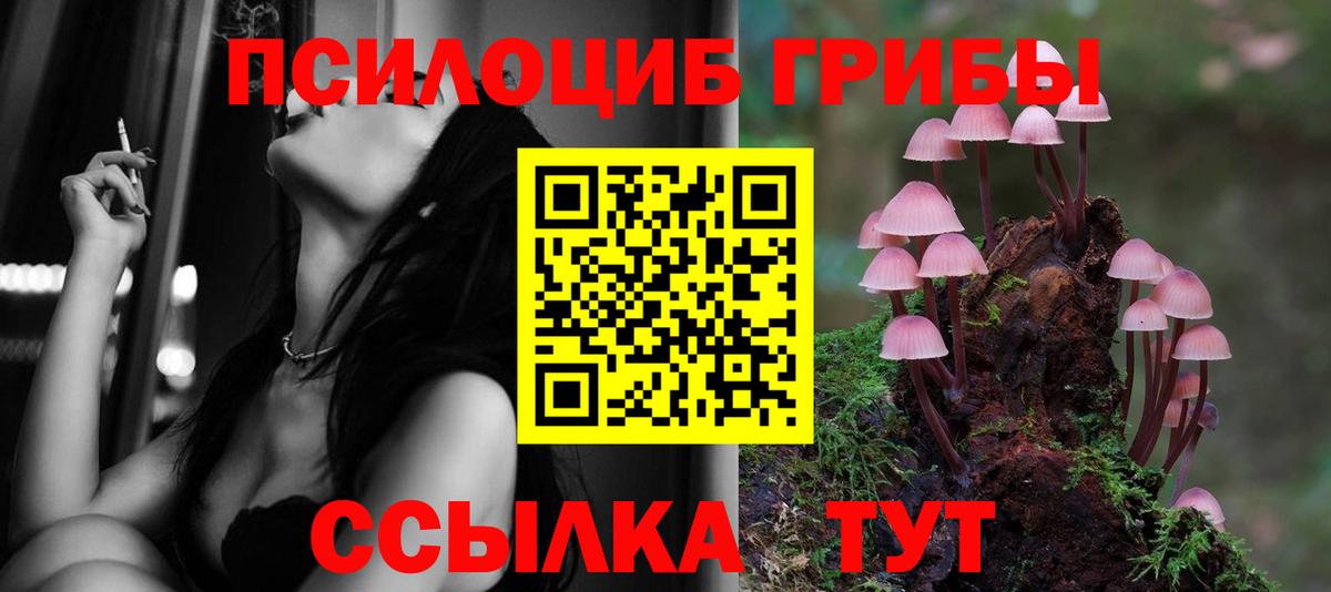Анапа  Галлюциногенные грибы мухоморы  Вход с VPN  Галлюциногенные грибы Psilocybine cubensis 