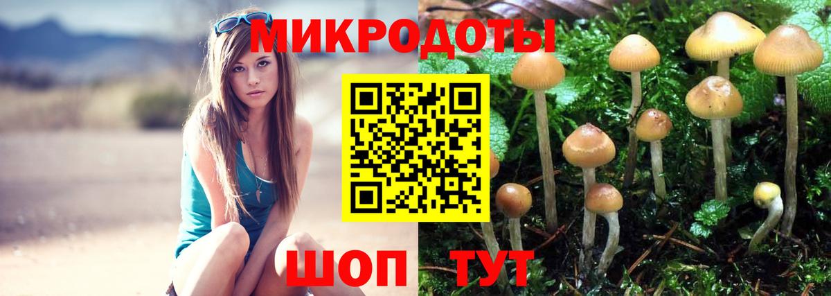 Анапа  Галлюциногенные грибы GOLDEN TEACHER  Вход с VPN  Псилоцибиновые грибы Magic Shrooms 